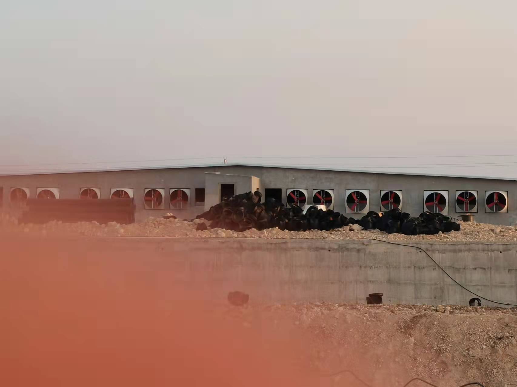 -海南紅明項(xiàng)目